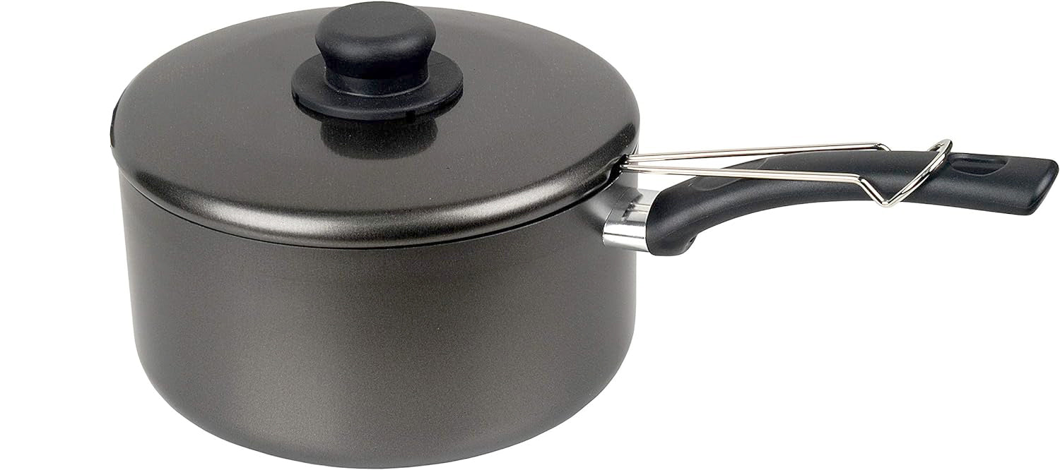 Chip Pan Fryer with Basket and Lid 2in 1